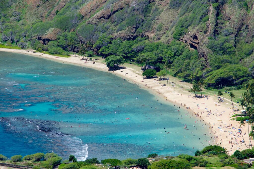 a beach with people swimming in the water