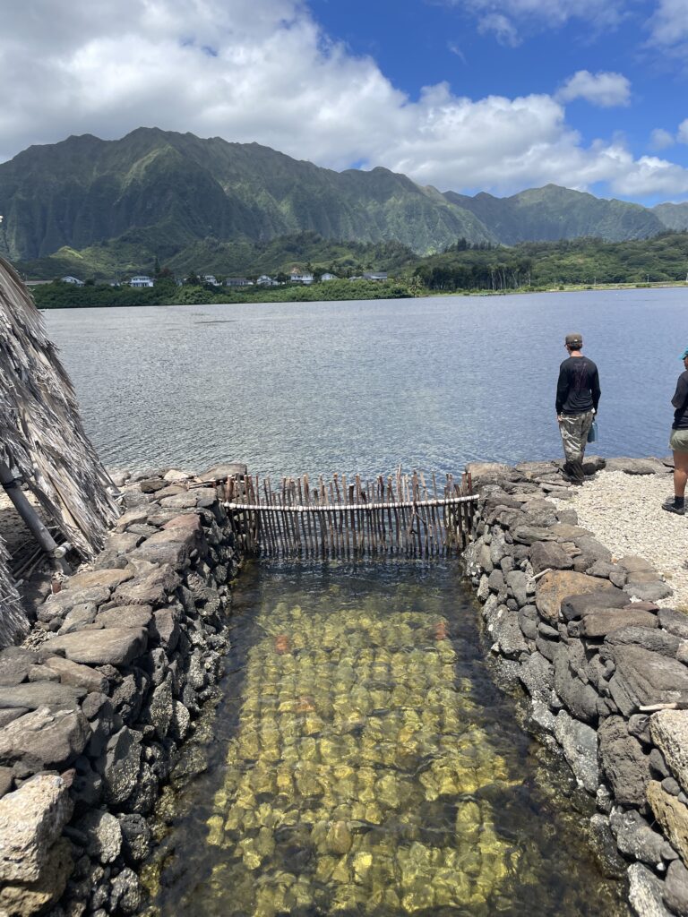 Best Time to Visit O‘ahu: Weather, Crowds & Culture Hawaii Calling people standing on a rocky shore next to a body of water