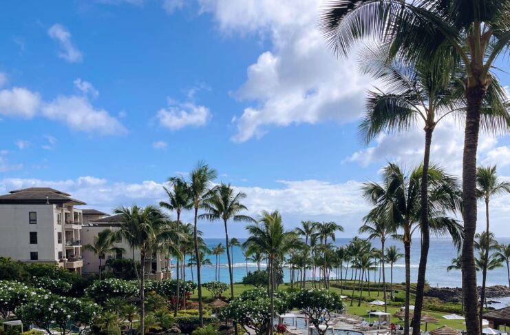 a resort with a pool and palm trees