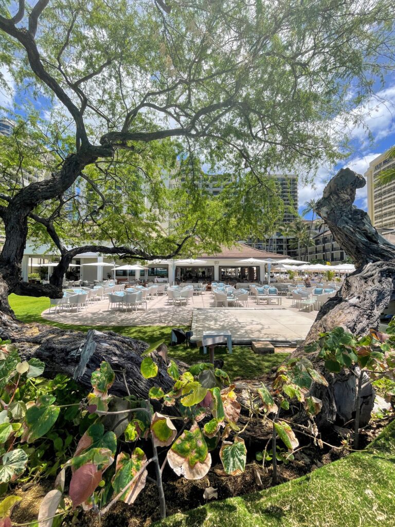 Hawai'i’s Michelin Key Hotels: A Complete Guide to the Islands’ Top Luxury Properties (2025) Hawaii Calling a tree with chairs in front of a building