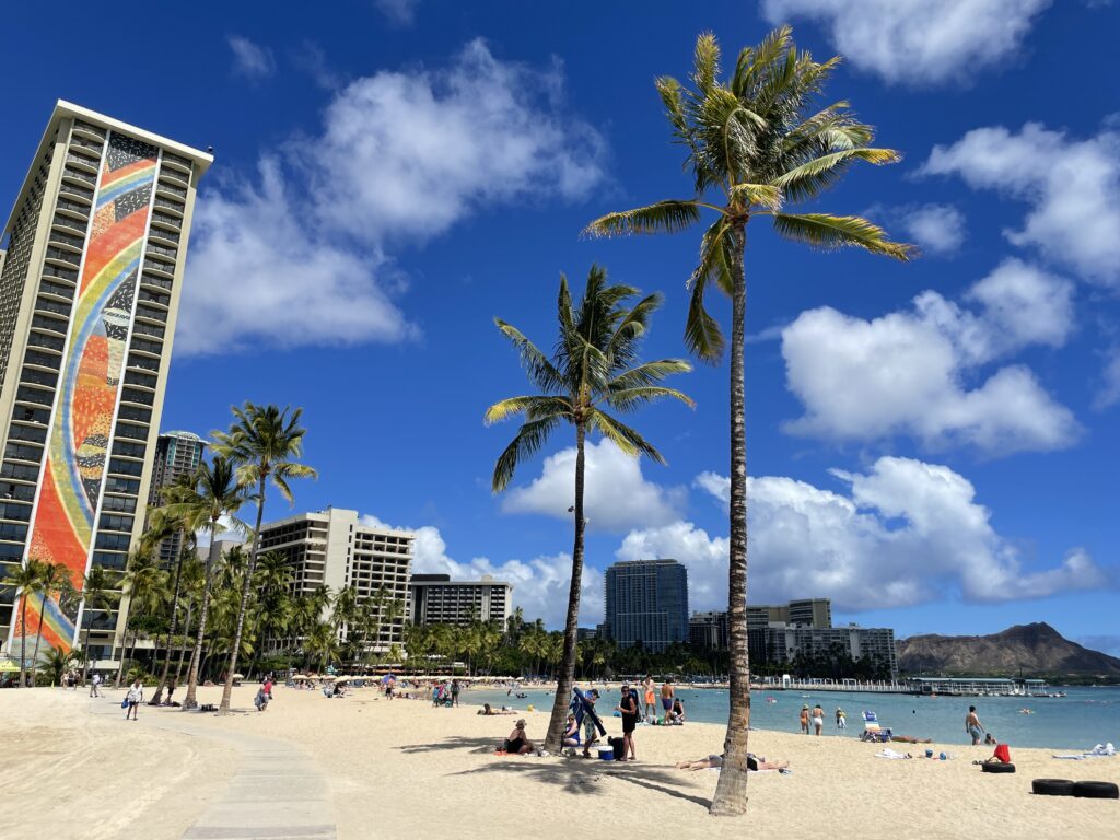 a beach with palm trees and buildings