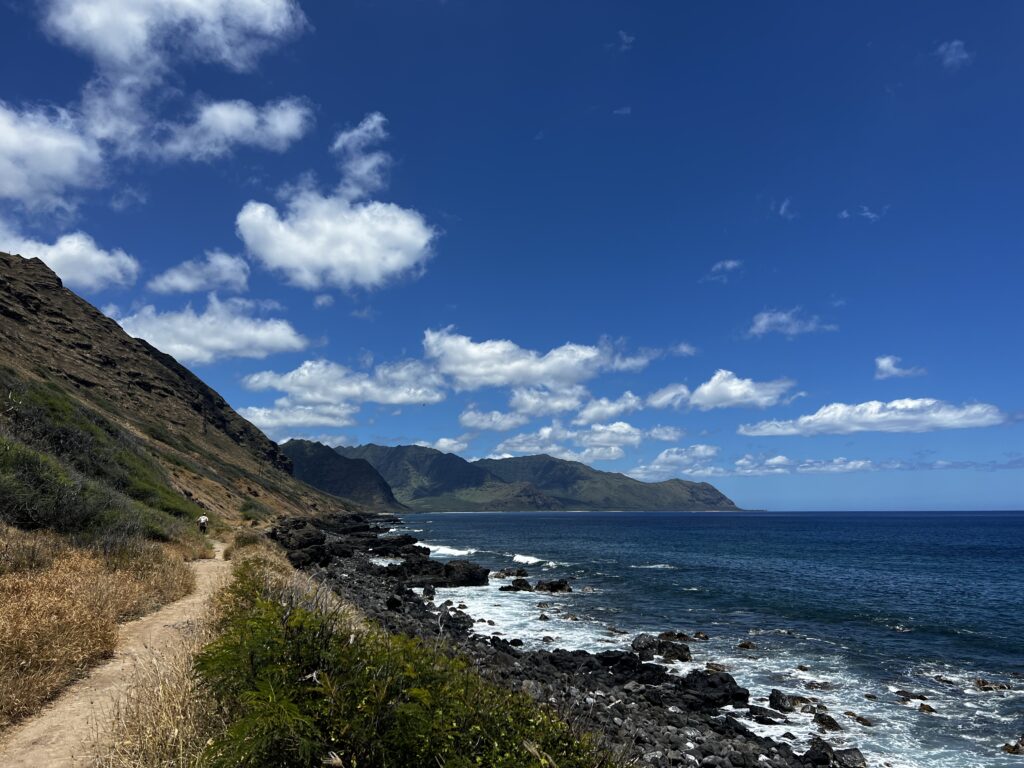 a rocky shore with a body of water and mountains in the background