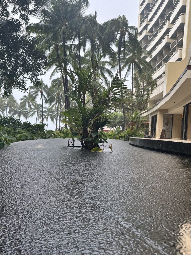a tree in a flooded area