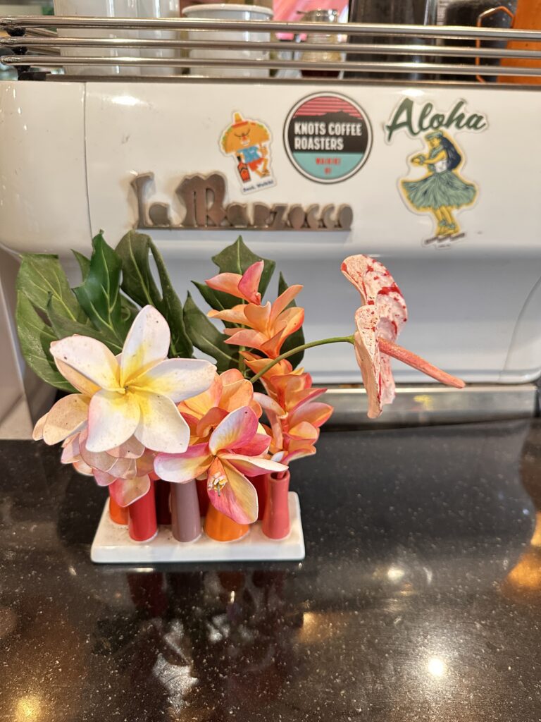 a flower in a vase