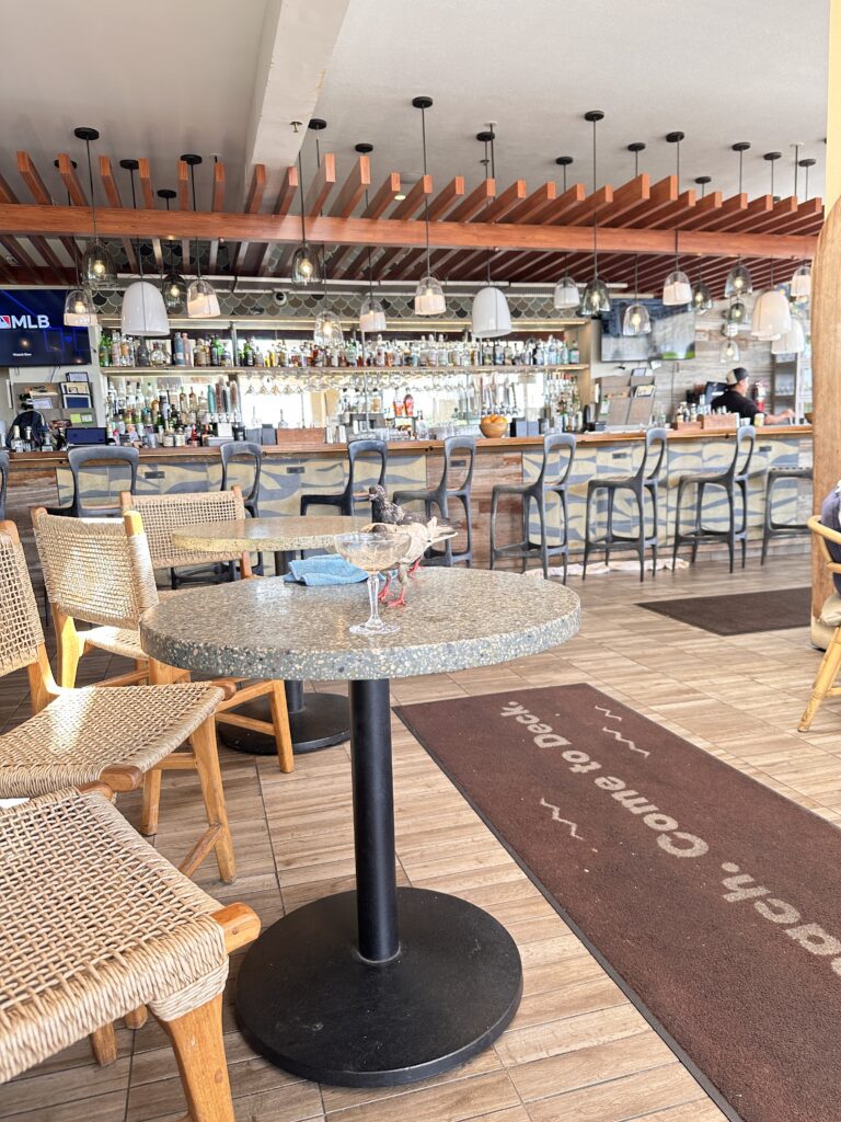 a restaurant with a bar and chairs