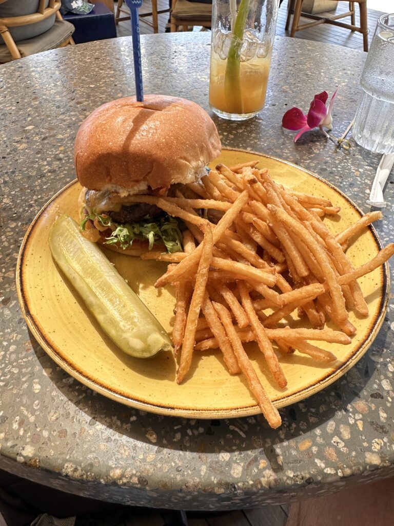 a plate of food with a pickle and fries