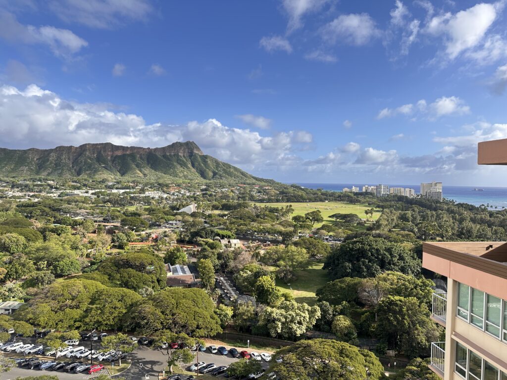 a view of a city and mountains from a high point