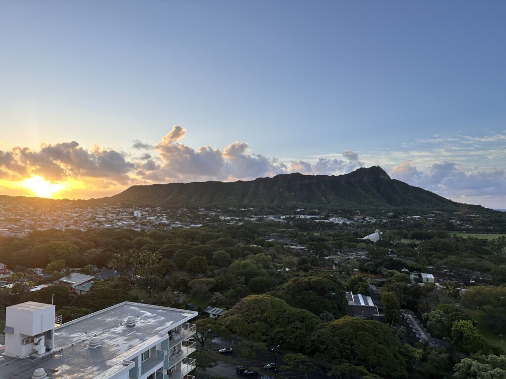 a view of a city and mountains from a high point