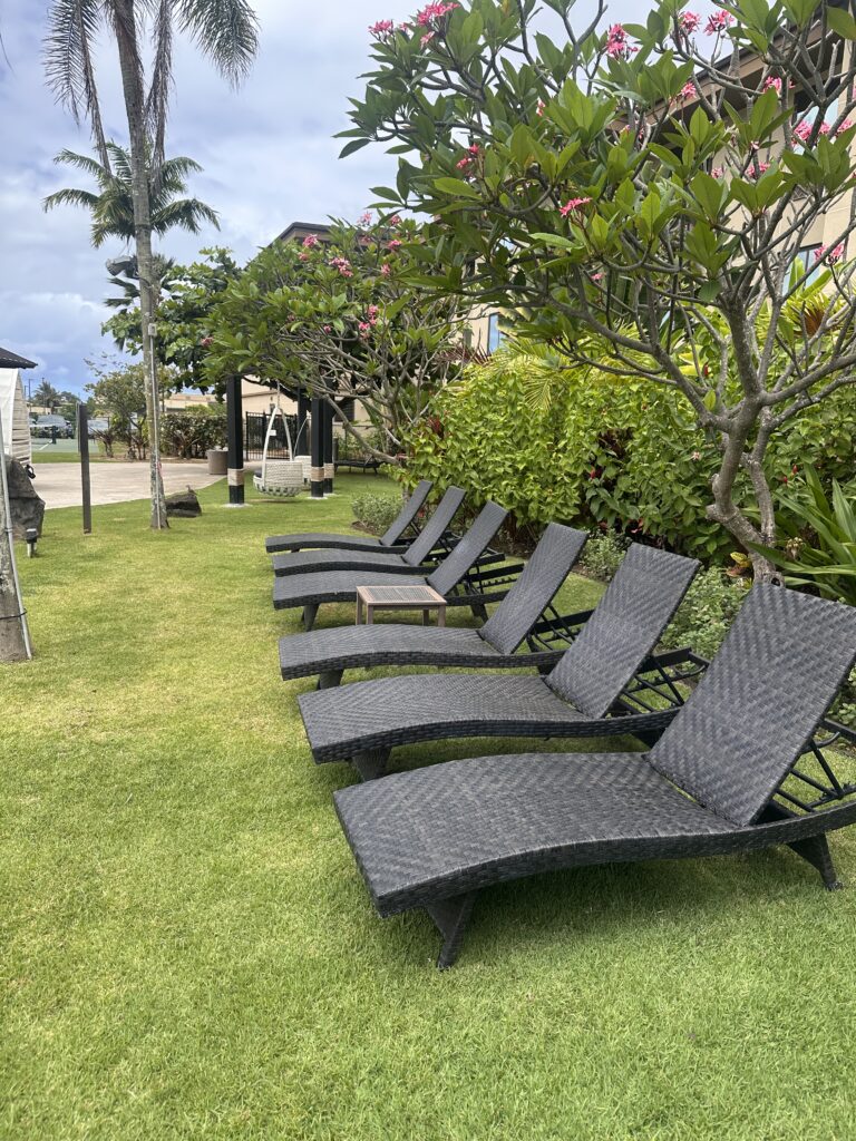 a row of chairs in a lawn