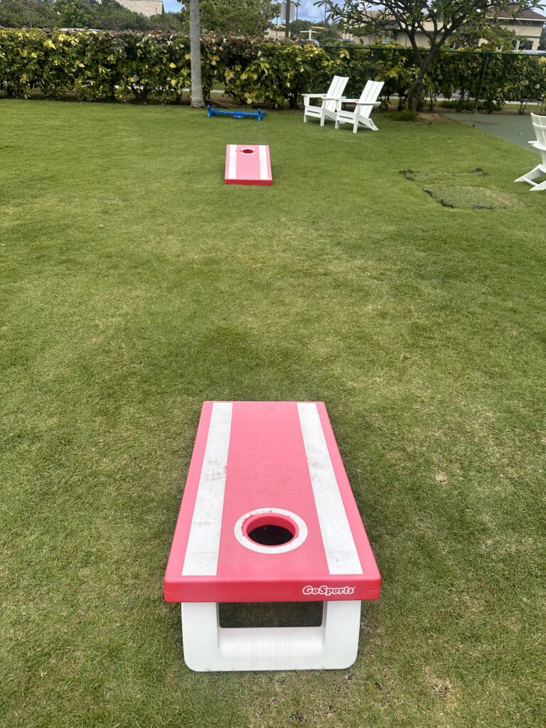 a pink and white bean bags on a lawn