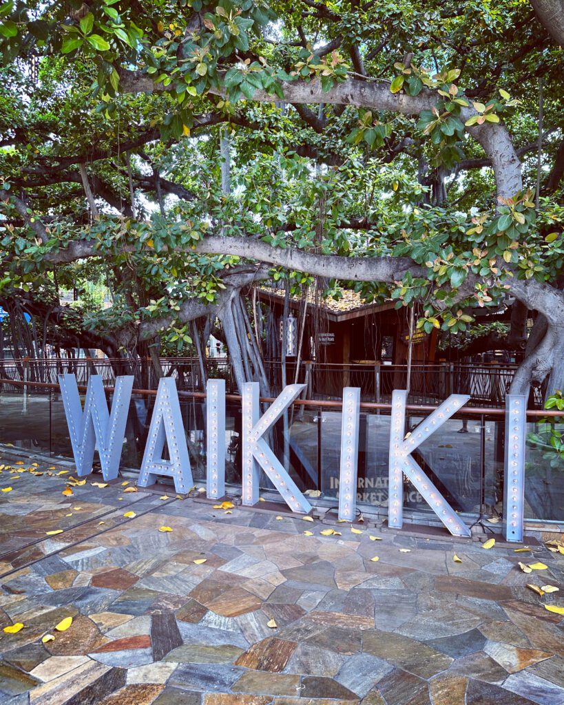Best Time to Visit O‘ahu: Weather, Crowds & Culture Hawaii Calling a sign in front of a tree
