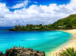 a beach with rocks and trees