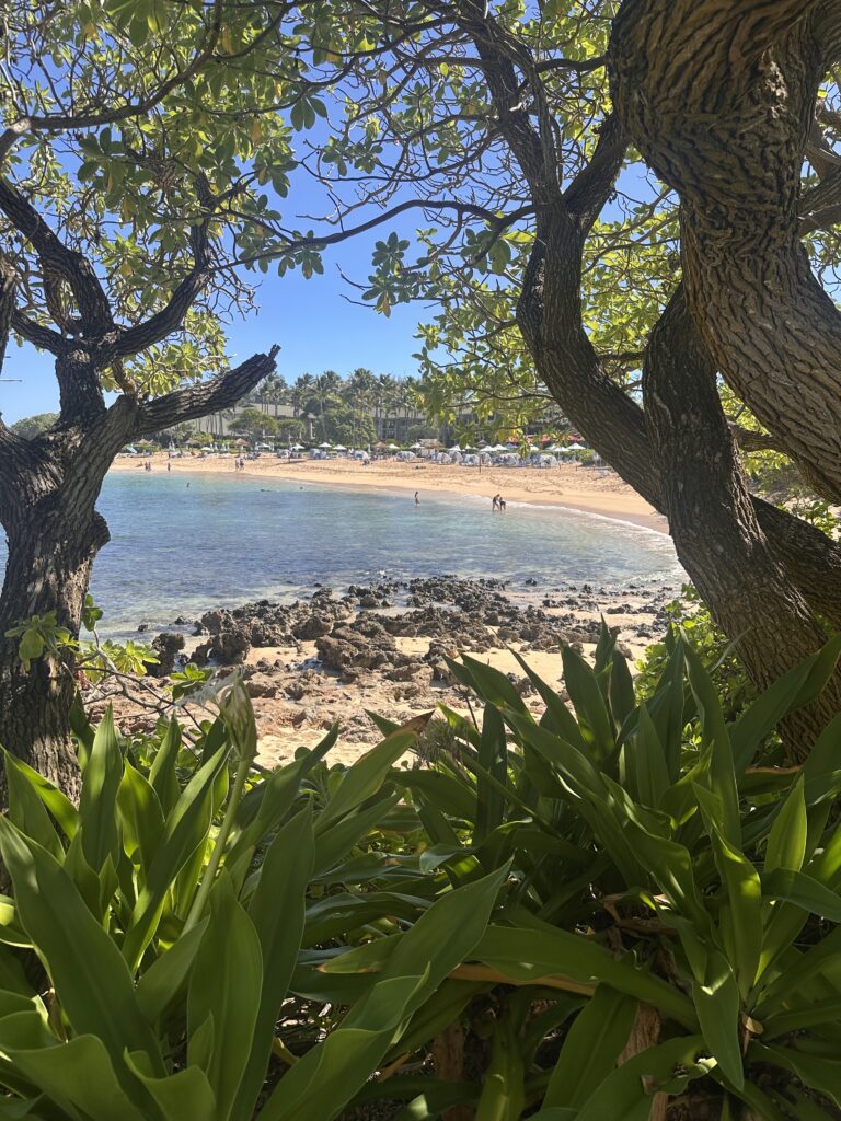 Review: The Ritz-Carlton O‘ahu, Turtle Bay — North Shore Luxury with Room to Breathe Hawaii Calling a beach with trees and water