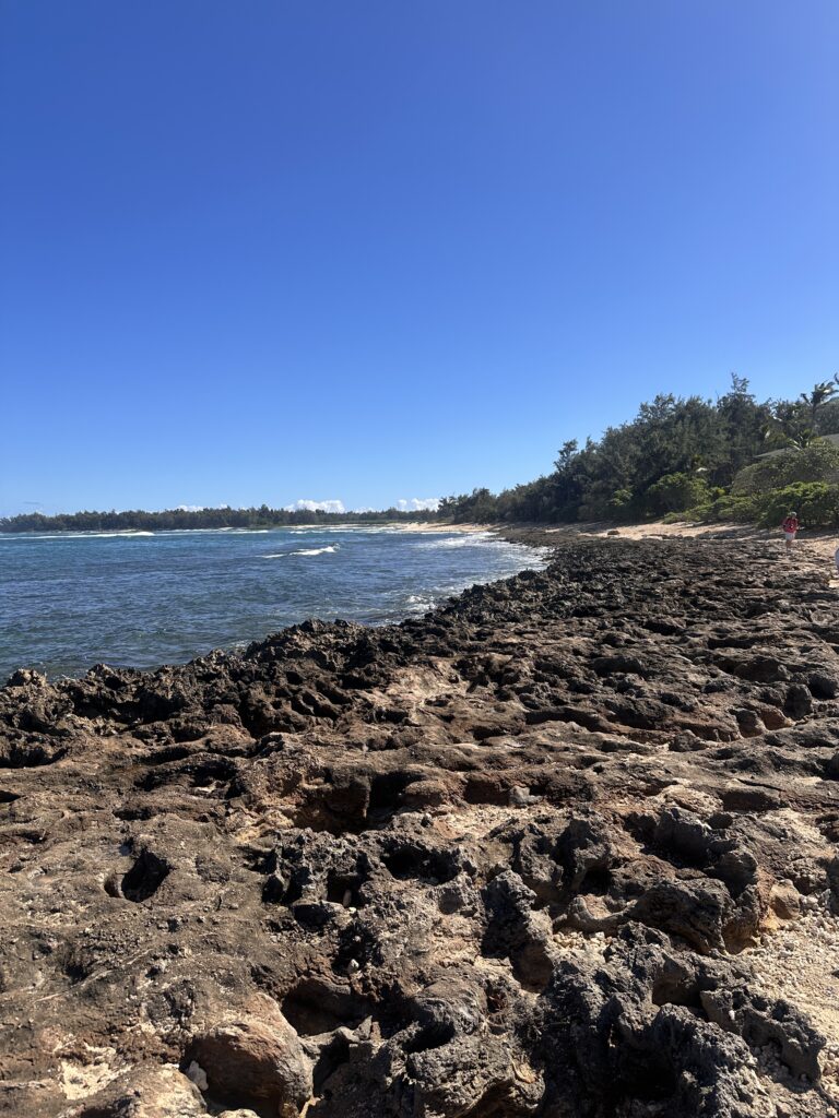 Review: The Ritz-Carlton O‘ahu, Turtle Bay — North Shore Luxury with Room to Breathe Hawaii Calling a rocky beach with trees and water