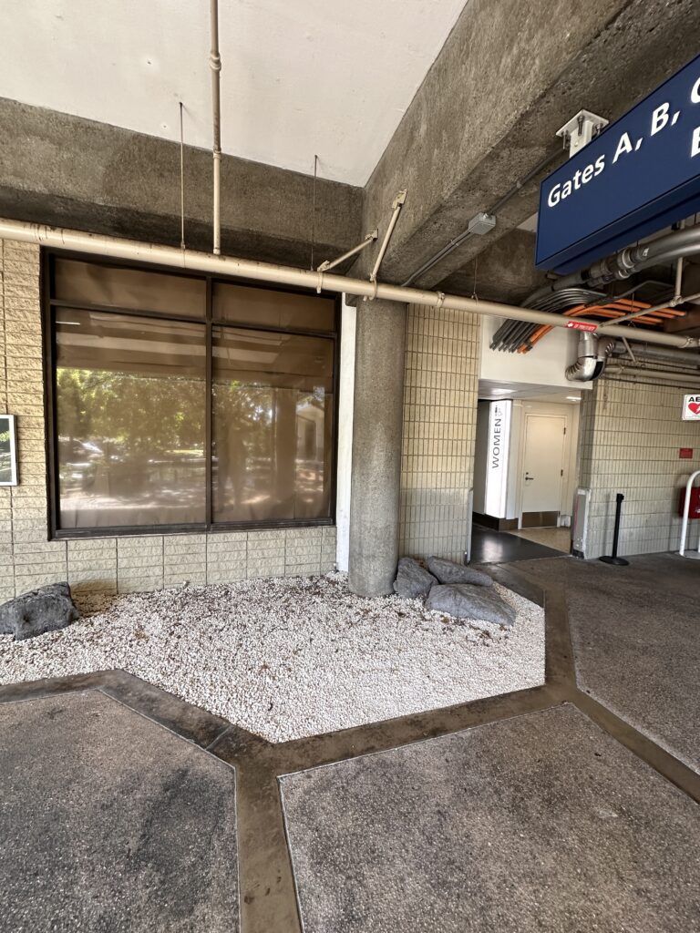 Southwest Eyes Honolulu Lounge in Bold Move Into Premium Travel—But Why Now?