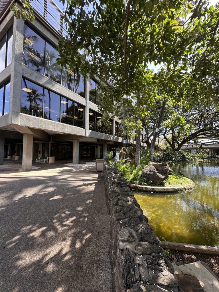 Southwest Eyes Honolulu Lounge in Bold Move Into Premium Travel—But Why Now?