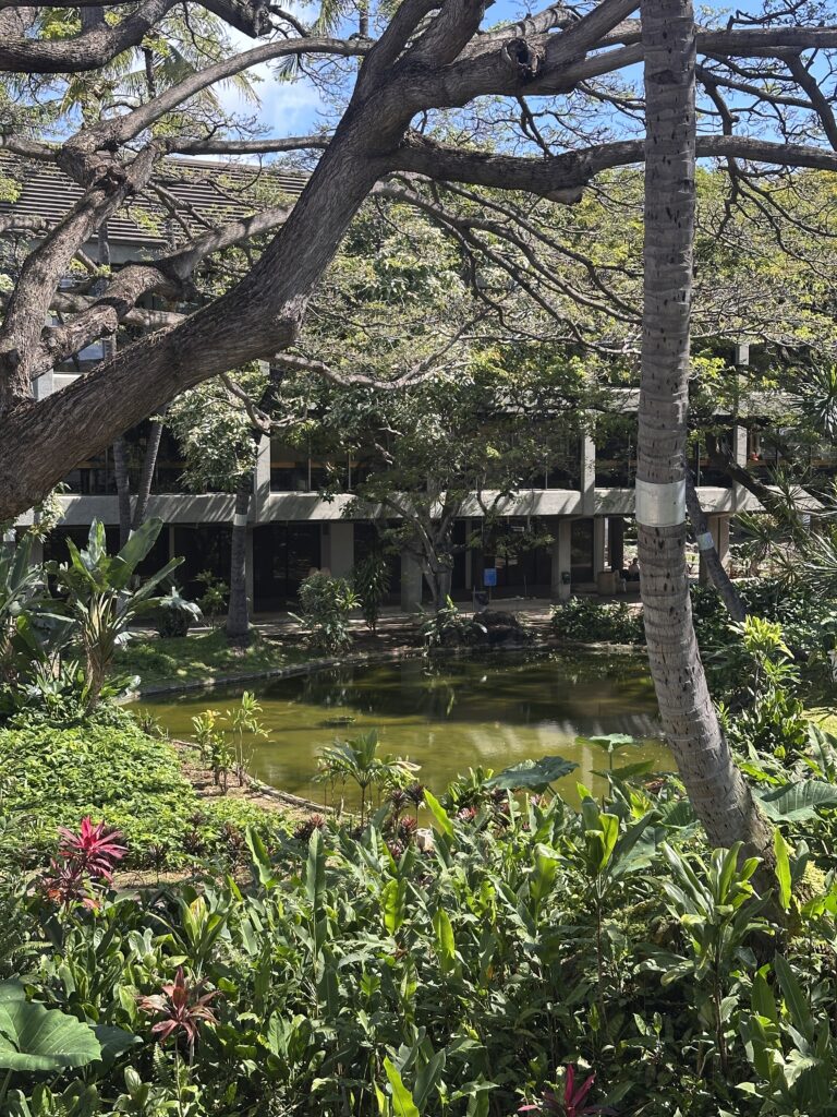 Southwest Eyes Honolulu Lounge in Bold Move Into Premium Travel—But Why Now?